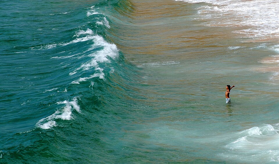 Wave Speed