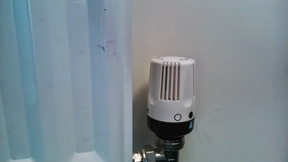 Area Thermal Expansion