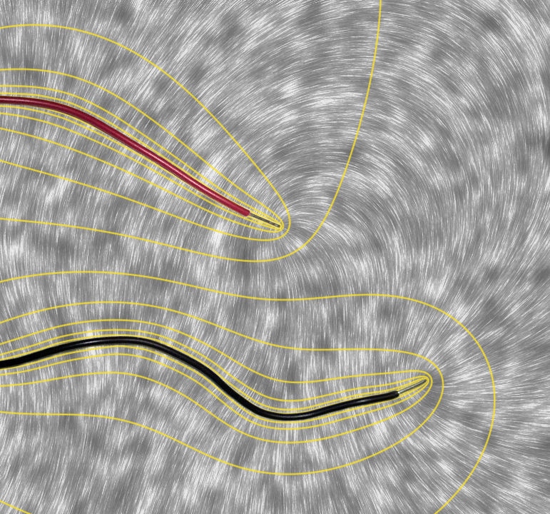 Electric Field of a Point Charge